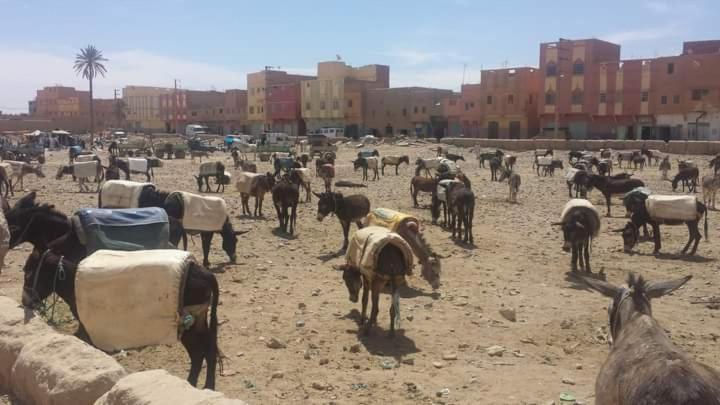 Maison Bedouin Мерзуга Экстерьер фото